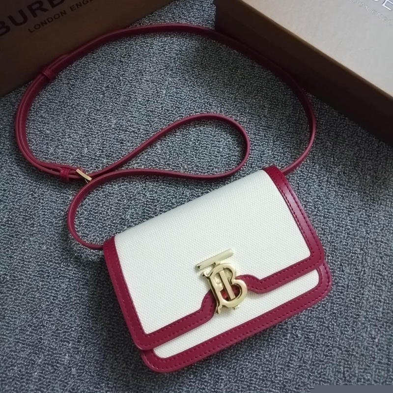 B**rry satchel bags